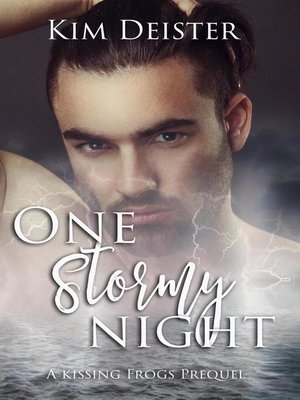 cover image of One Stormy Night